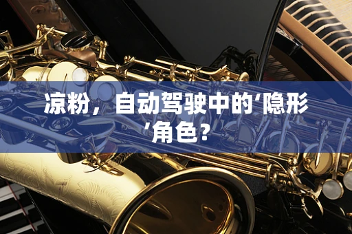 凉粉，自动驾驶中的‘隐形’角色？