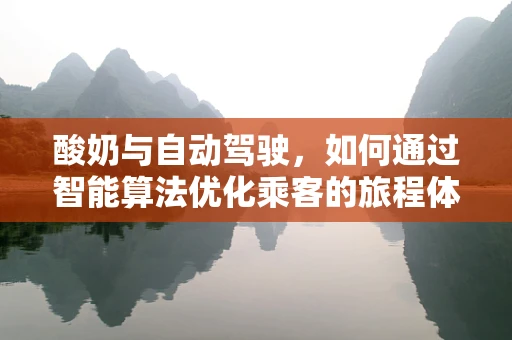 酸奶与自动驾驶，如何通过智能算法优化乘客的旅程体验？