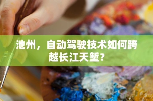 池州，自动驾驶技术如何跨越长江天堑？