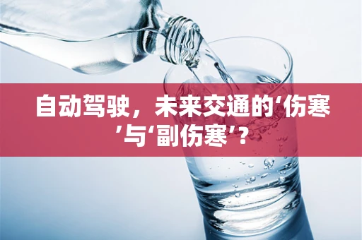 自动驾驶，未来交通的‘伤寒’与‘副伤寒’？