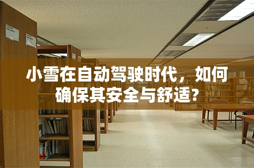 小雪在自动驾驶时代，如何确保其安全与舒适？