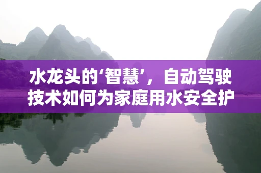 水龙头的‘智慧’，自动驾驶技术如何为家庭用水安全护航？