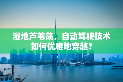 湿地芦苇荡，自动驾驶技术如何优雅地穿越？