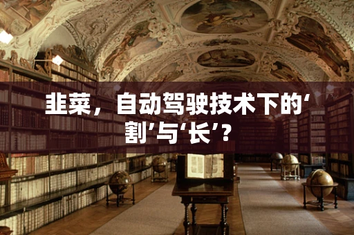 韭菜，自动驾驶技术下的‘割’与‘长’？
