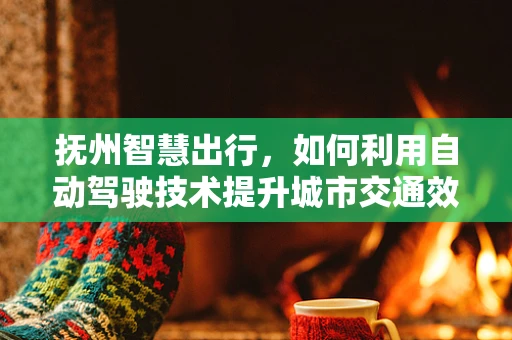 抚州智慧出行，如何利用自动驾驶技术提升城市交通效率？