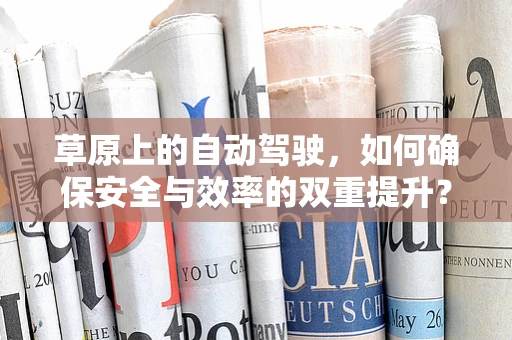 草原上的自动驾驶，如何确保安全与效率的双重提升？