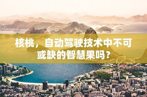 核桃，自动驾驶技术中不可或缺的智慧果吗？