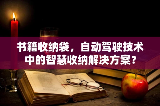 书籍收纳袋，自动驾驶技术中的智慧收纳解决方案？
