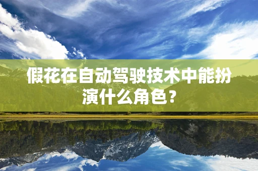 假花在自动驾驶技术中能扮演什么角色？