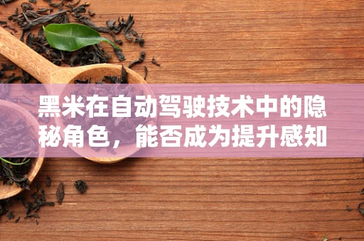 黑米在自动驾驶技术中的隐秘角色，能否成为提升感知精度的关键？