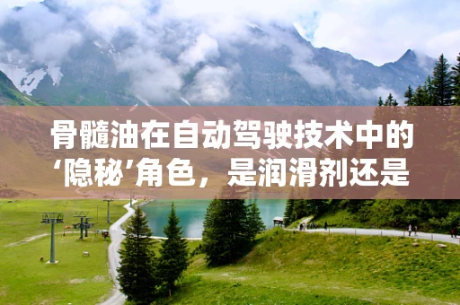 骨髓油在自动驾驶技术中的‘隐秘’角色，是润滑剂还是未知的助力？