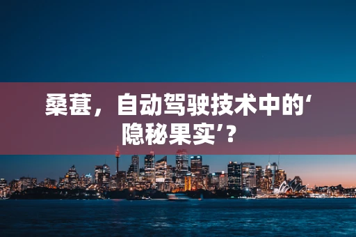 桑葚，自动驾驶技术中的‘隐秘果实’？