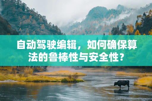 自动驾驶编辑，如何确保算法的鲁棒性与安全性？