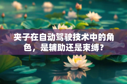 夹子在自动驾驶技术中的角色，是辅助还是束缚？